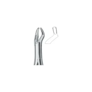 Molars and third molars 10S
