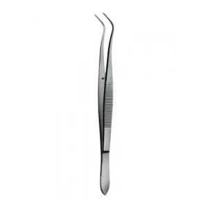 Understanding Dental Instruments