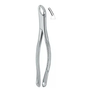 Cryer Bicuspids , Incisors and Roots 150