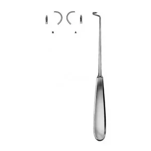 Deschamps 20cm