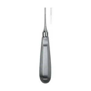 Apical 1