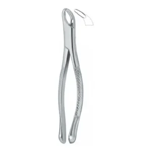 Cryer Bicuspids , Incisors and Roots 151