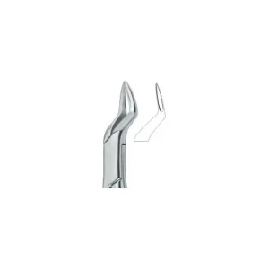 Incisors and Roots 65