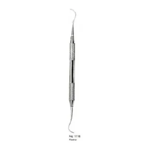 Anterior